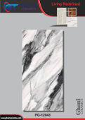 Ghani | Tiles | 24 X 48 | PG12043 | Floor Tile | Polished | Grey | Prime