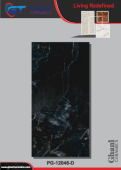 Ghani | Tiles | 24 X 48 | PG12046D | Floor Tile | Polished | Black  | Prime