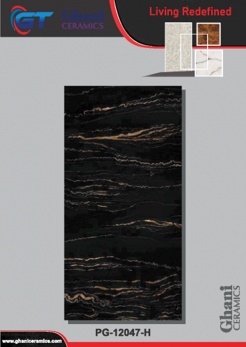 Ghani | Tiles | 24 X 48 | PG12047H | Floor Tile | Polished | Black  | Prime