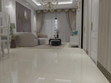 Motif And Border | 16010