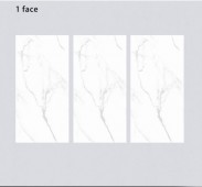 GLORY | Tiles | 24 X 48 | 612GY005 | Floor Tile | Polished | White | AAA Quality