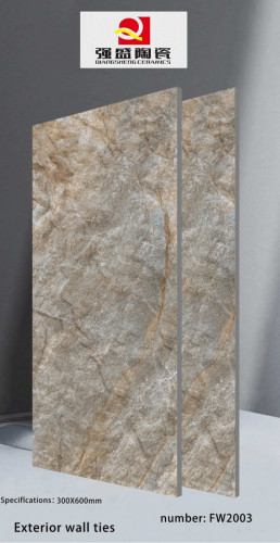QIANG SHENG | Tiles | 12 X 24 | FW2003 | Wall Tile | Matt | Ivory | Prime