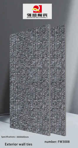 QIANG SHENG | Tiles | 12 X 24 | FW3008 | Wall Tile | Matt | Grey | Prime