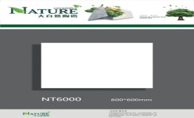 NATURE | Tiles | 24 X 24 | NT6000 | Floor Tile | Polished | White | Prime