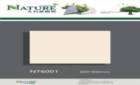 NATURE | Tiles | 24 X 24 | NT6001 | Floor Tile | Polished | Ivory | Prime