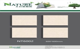 NATURE | Tiles | 24 X 24 | NT6002 | Floor Tile | Polished | Ivory | Prime