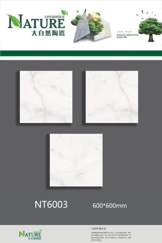 NATURE | Tiles | 24 X 24 | NT6003 | Floor Tile | Polished | White | Prime