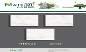 NATURE | Tiles | 24 X 24 | NT6003 | Floor Tile | Polished | White | Prime