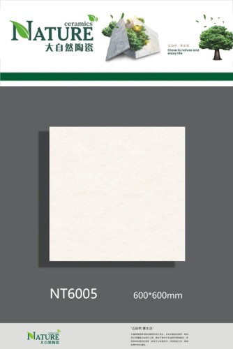 NATURE | Tiles | 24 X 24 | NT6005 | Floor Tile | Polished | Ivory | Prime