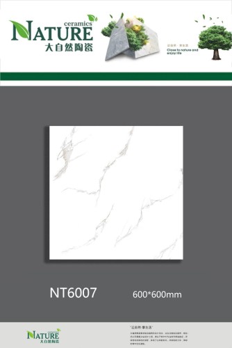 NATURE | Tiles | 24 X 24 | NT6007 | Floor Tile | Polished | White | Prime