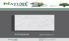 NATURE | Tiles | 24 X 24 | NT6009 | Floor Tile | Polished | Grey | AAA Quality