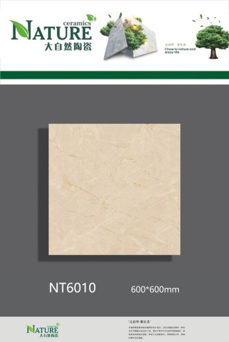 NATURE | Tiles | 24 X 24 | NT6010 | Floor Tile | Polished | Beige | AAA Quality