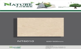 NATURE | Tiles | 24 X 24 | NT6010 | Floor Tile | Polished | Beige | AAA Quality