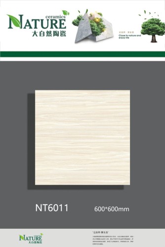 NATURE | Tiles | 24 X 24 | NT6011 | Floor Tile | Polished | Ivory | AAA Quality