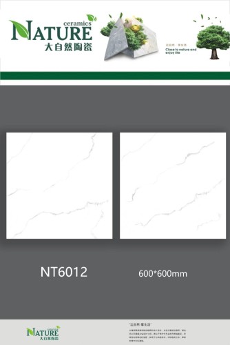 NATURE | Tiles | 24 X 24 | NT6012 | Floor Tile | Polished | White | AAA Quality