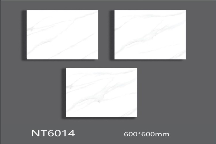 NATURE | Tiles | 24 X 24 | NT6014 | Floor Tile | Polished | White | AAA Quality