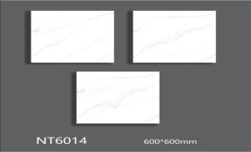 NATURE | Tiles | 24 X 24 | NT6014 | Floor Tile | Polished | White | AAA Quality