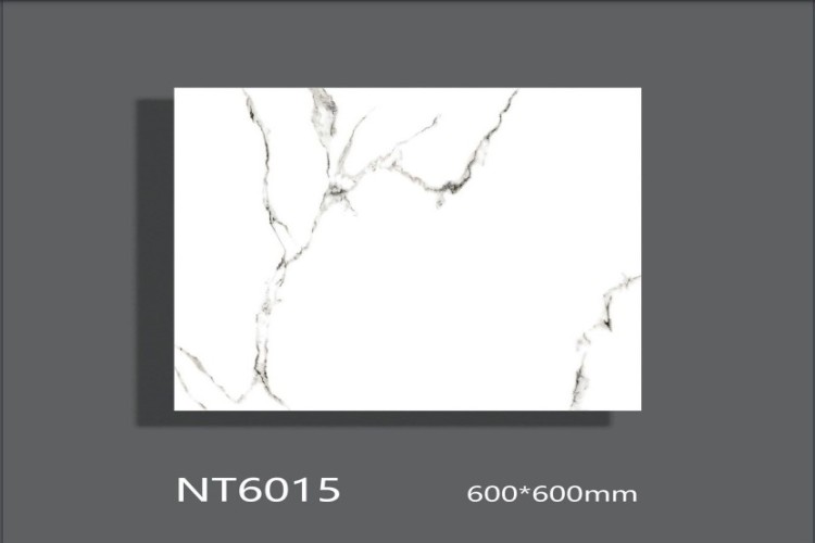 NATURE | Tiles | 24 X 24 | NT6015 | Floor Tile | Polished | White | AAA Quality