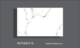 NATURE | Tiles | 24 X 24 | NT6015 | Floor Tile | Polished | White | AAA Quality