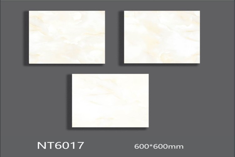 NATURE | Tiles | 24 X 24 | NT6017 | Floor Tile | Polished | Ivory | AAA Quality