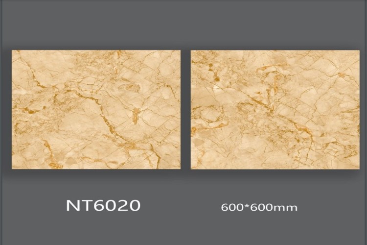 NATURE | Tiles | 24 X 24 | NT6020 | Floor Tile | Polished | Ivory | AAA Quality
