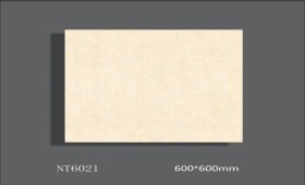 NATURE | Tiles | 24 X 24 | NT6021 | Floor Tile | Polished | Ivory | AAA Quality