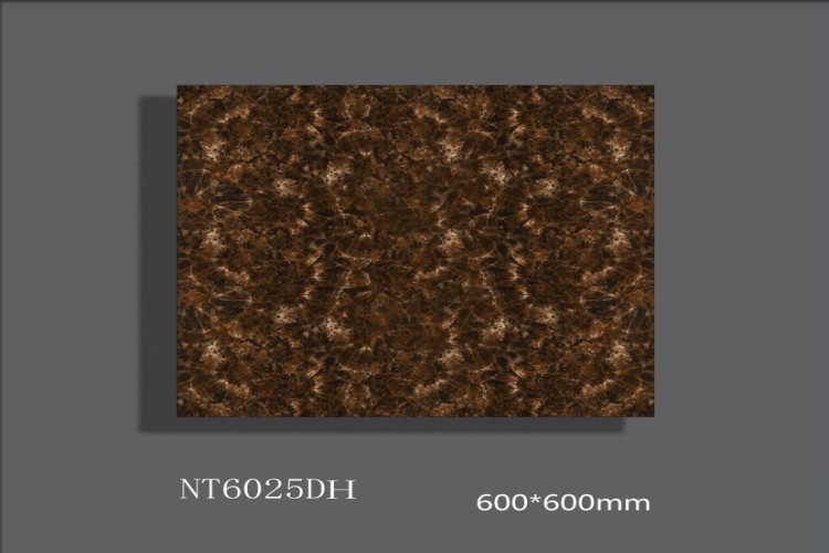 NATURE | Tiles | 24 X 24 | NT6025DH | Floor Tile | Polished | Metalic Brown | AAA Quality
