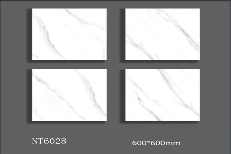 NATURE | Tiles | 24 X 24 | NT6028 | Floor Tile | Polished | White | AAA Quality