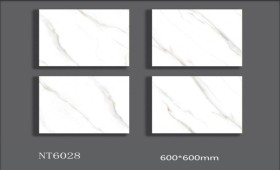 NATURE | Tiles | 24 X 24 | NT6028 | Floor Tile | Polished | White | AAA Quality
