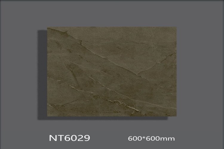 NATURE | Tiles | 24 X 24 | NT6029 | Floor Tile | Polished | Metalic Brown | AAA Quality