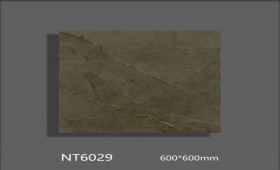 NATURE | Tiles | 24 X 24 | NT6029 | Floor Tile | Polished | Metalic Brown | AAA Quality