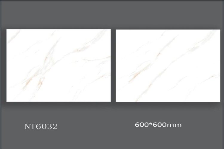 NATURE | Tiles | 24 X 24 | NT6032 | Floor Tile | Polished | White | AAA Quality