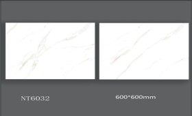NATURE | Tiles | 24 X 24 | NT6032 | Floor Tile | Polished | White | AAA Quality