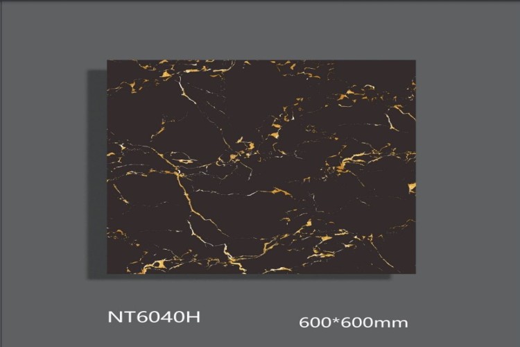 NATURE | Tiles | 24 X 24 | NT6040H | Floor Tile | Polished | Black  | AAA Quality
