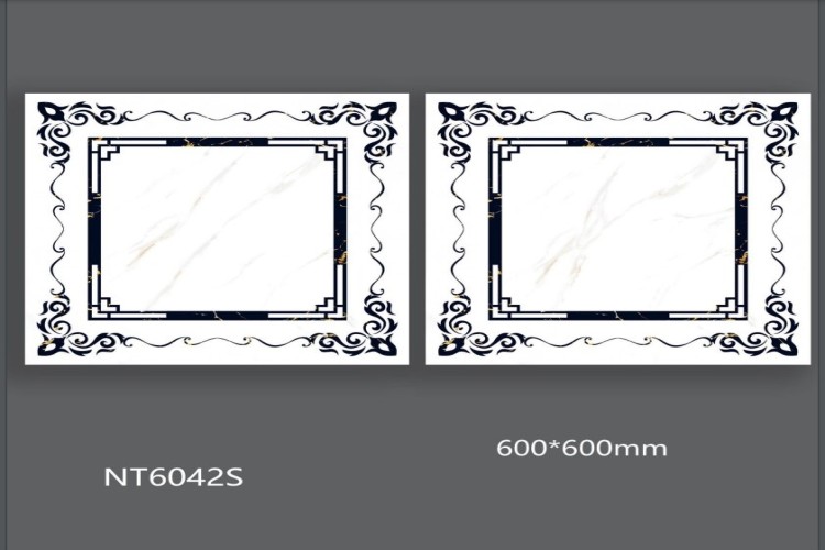 NATURE | Tiles | 24 X 24 | NT6041S | Floor Tile | Polished | White | AAA Quality