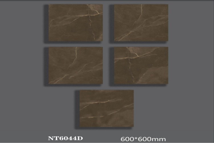 NATURE | Tiles | 24 X 24 | NT6044D | Floor Tile | Polished | Metalic Brown | AAA Quality