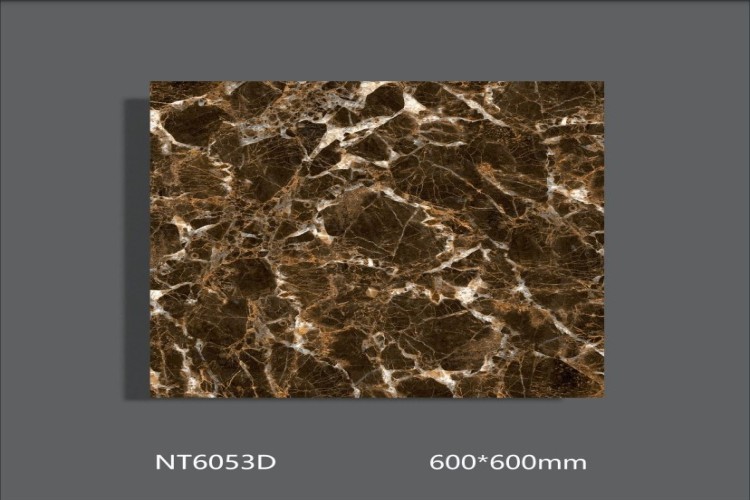 NATURE | Tiles | 24 X 24 | NT6053D | Floor Tile | Polished | Dark Brown | AAA Quality