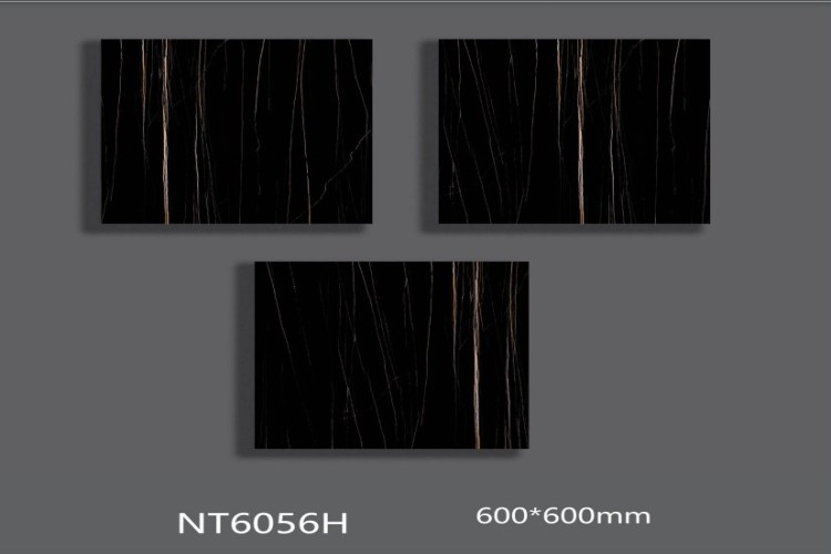 NATURE | Tiles | 24 X 24 | NT6056H | Floor Tile | Polished | Black  | AAA Quality