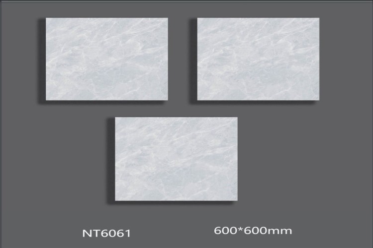 NATURE | Tiles | 24 X 24 | NT6061 | Floor Tile | Polished | Grey | AAA Quality
