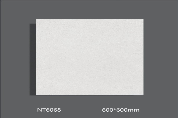 NATURE | Tiles | 24 X 24 | NT6068 | Floor Tile | Polished | Grey White | AAA Quality