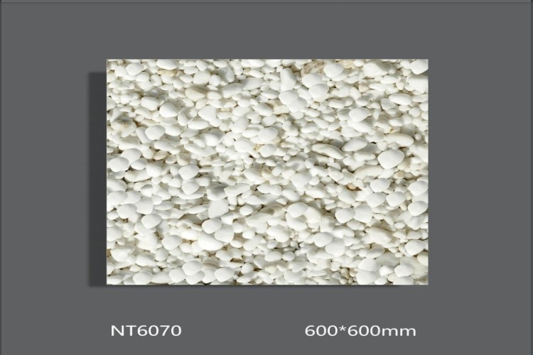NATURE | Tiles | 24 X 24 | NT6070 | Floor Tile | Polished | White | AAA Quality