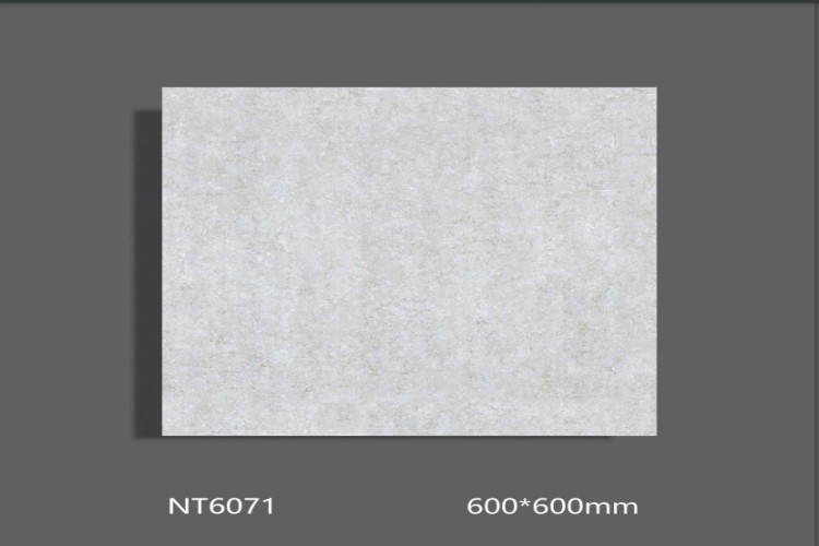 NATURE | Tiles | 24 X 24 | NT6071 | Floor Tile | Polished | Grey | AAA Quality