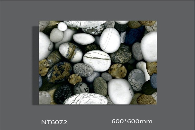 NATURE | Tiles | 24 X 24 | NT6072 | Floor Tile | Polished | Multicolour | AAA Quality