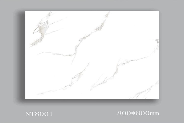 NATURE | Tiles | 32 X 32 | NT8001 | Floor Tile | Polished | White | AAA Quality