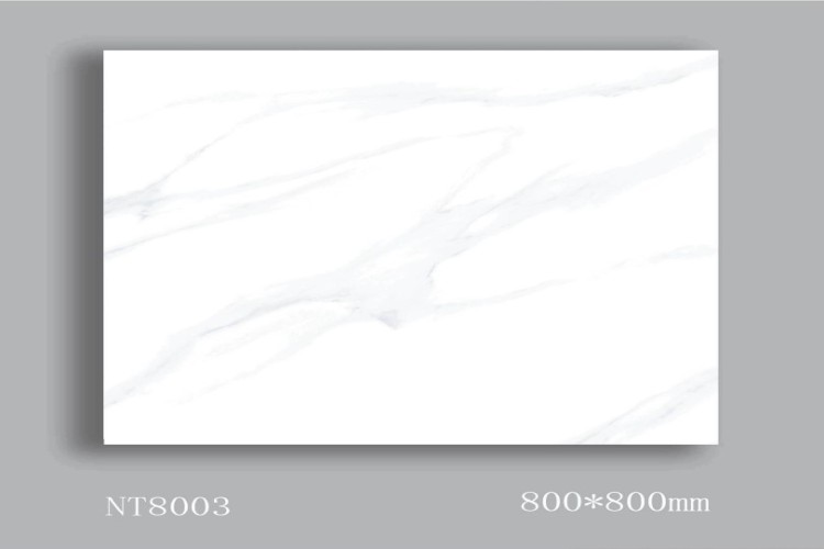 NATURE | Tiles | 32 X 32 | NT8003 | Floor Tile | Polished | White | AAA Quality