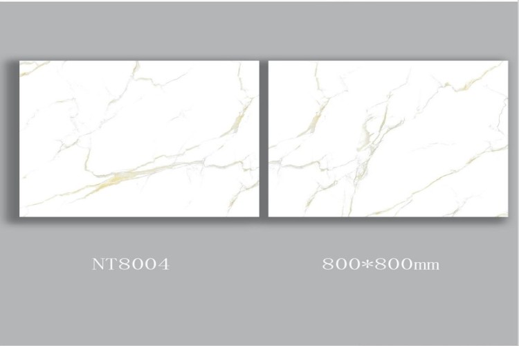 NATURE | Tiles | 32 X 32 | NT8004 | Floor Tile | Polished | White | AAA Quality