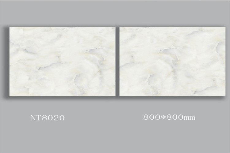 NATURE | Tiles | 32 X 32 | NT8020 | Floor Tile | Polished | White | AAA Quality