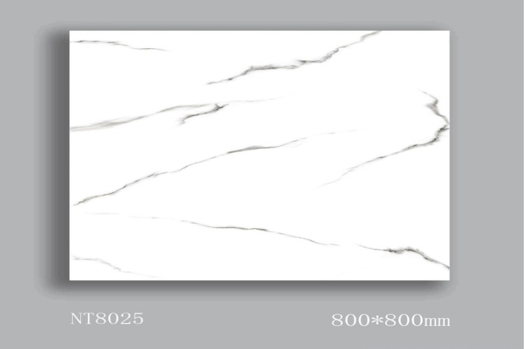 NATURE | Tiles | 32 X 32 | NT8025 | Floor Tile | Polished | White | AAA Quality