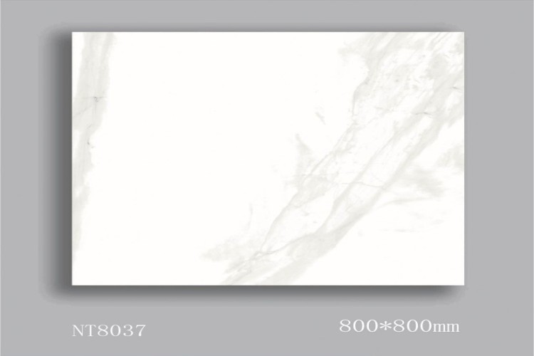 NATURE | Tiles | 32 X 32 | NT8037 | Floor Tile | Polished | White | AAA Quality