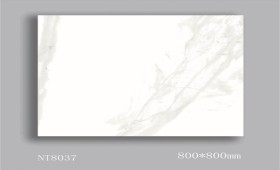 NATURE | Tiles | 32 X 32 | NT8037 | Floor Tile | Polished | White | AAA Quality
